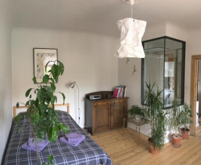 Sunrise apartment in the quiet centre, Riga
